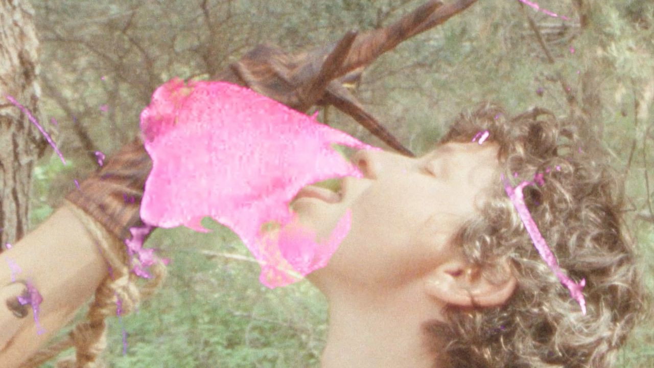 Metamorphosis