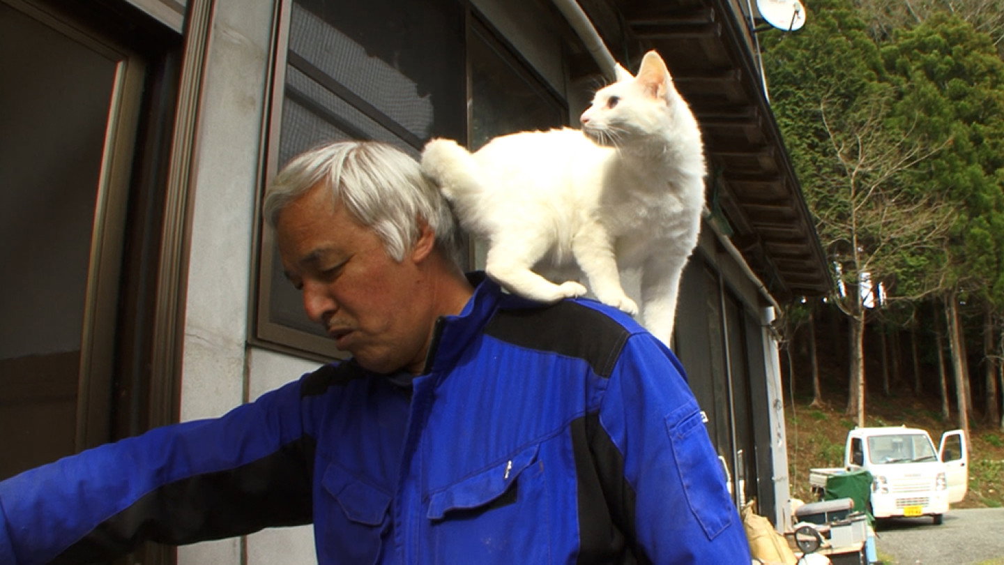 Alone Again in Fukushima