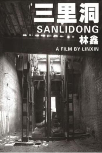 Sanlidong
