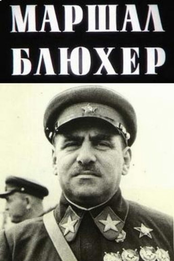 Marshal Blucher: A Portrait Against the Background of an Epoch