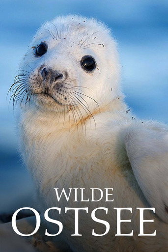 Wild Baltic Sea